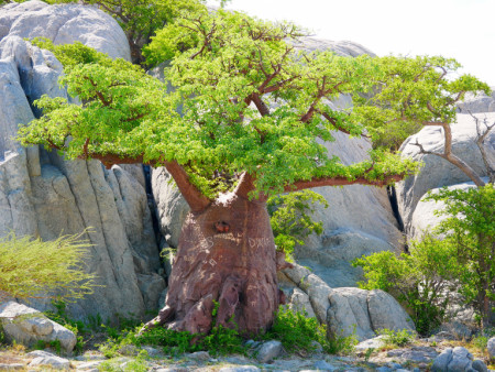 Geführte Botswana Offroad Tour Juni 2026