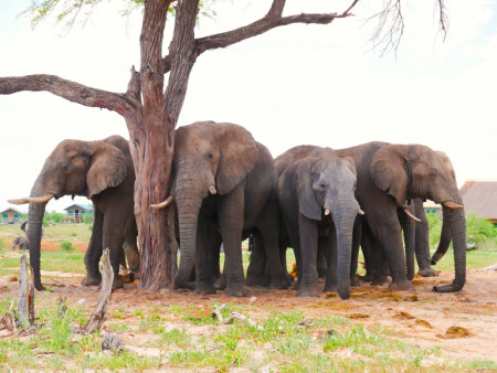 Geführte Botswana Offroad Tour Juni 2026