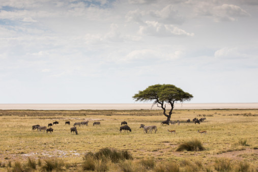 meine-namibia-safaris-056