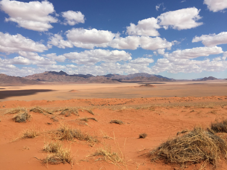 Hiking in the Namib (Tok Tokkies trails, 2 nights in the desert)