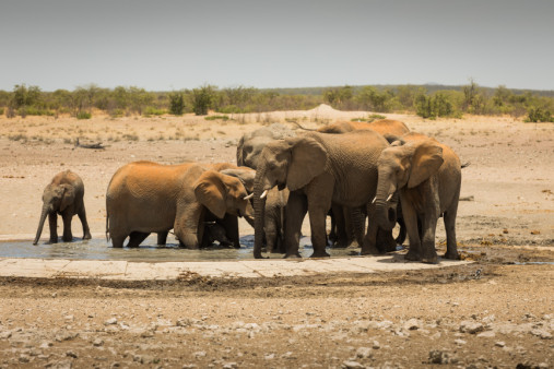 meine-namibia-safaris-051