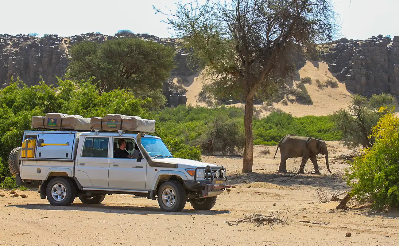 4x4 Rental Car from Meine Namibia Safaris in Namibian Landscape close to Elephant