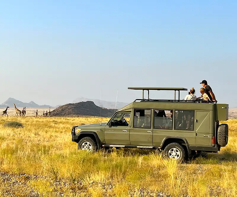 Travellers in a Private Guided Stretched Landcruiser in savanna watching Giraffe Travellers in a Private Guided Stretched Landcruiser in savanna watching Giraffe